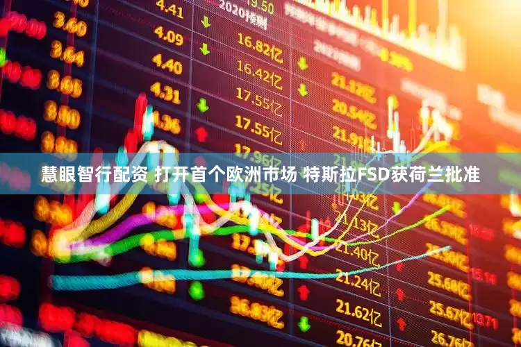 慧眼智行配资 打开首个欧洲市场 特斯拉FSD获荷兰批准